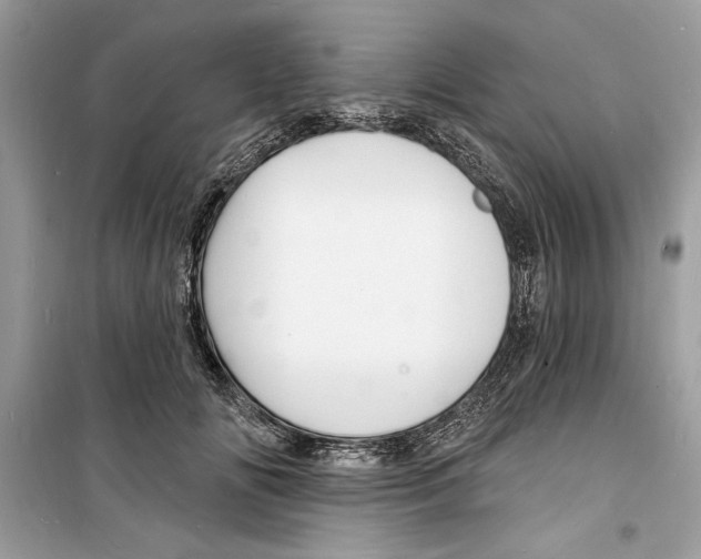 X0000098170702200805221515