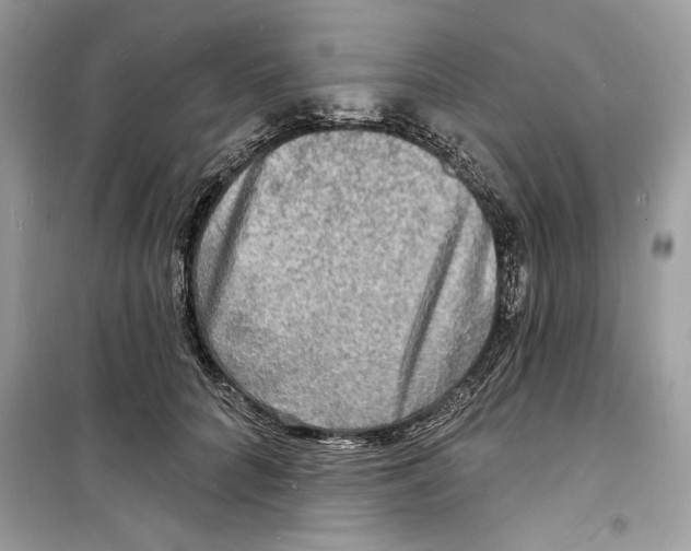 X0000098170704200805221515