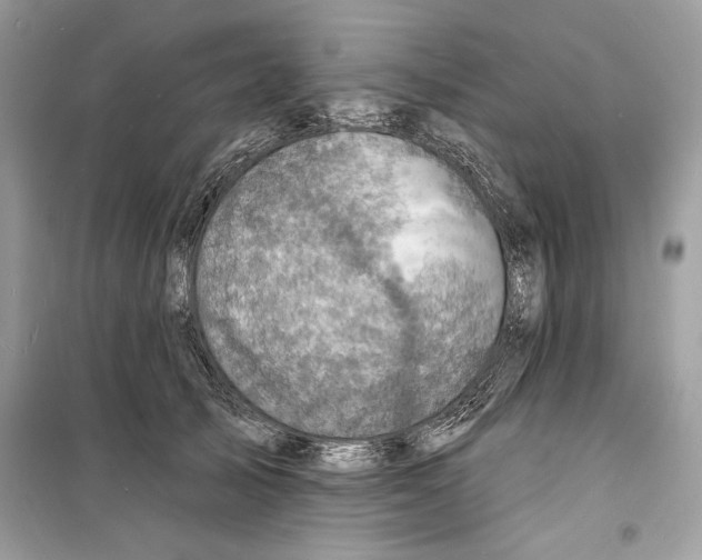 X0000098170705200805221515