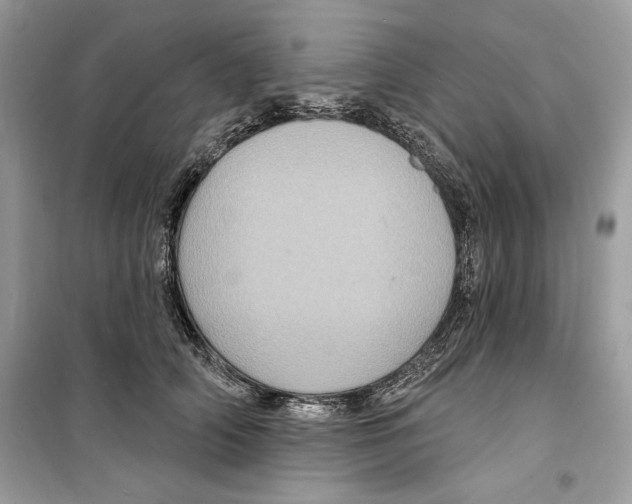 X0000098170706200805221515