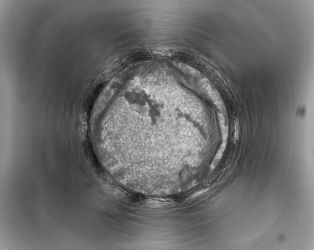 X0000098170707200805221515