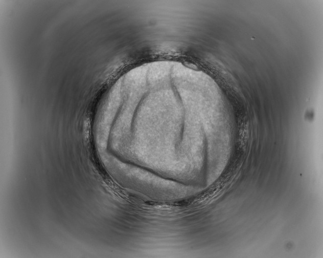 X0000098170708200805221515