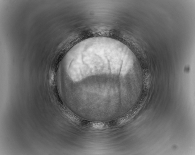 X0000098170709200805221515