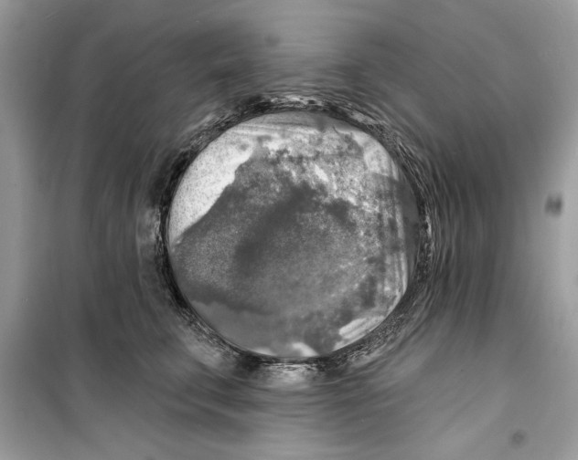 X0000098170711200805221515