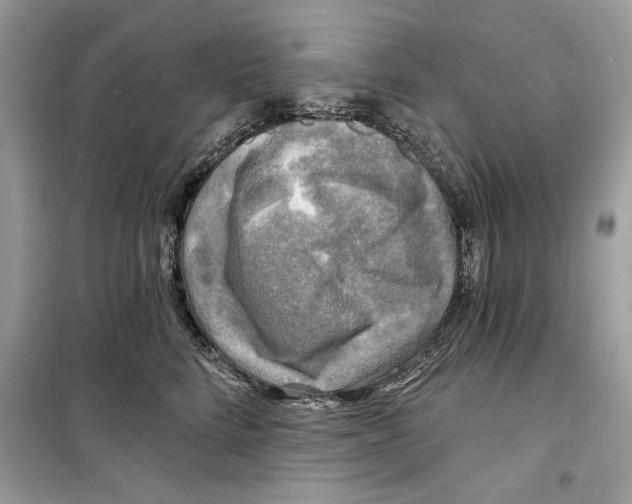 X0000098170712200805221515