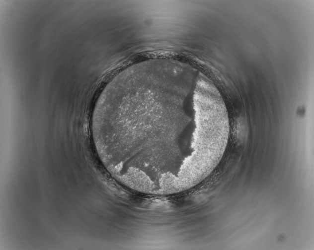 X0000098170715200805221515