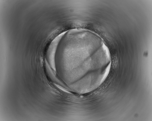 X0000098170716200805221515