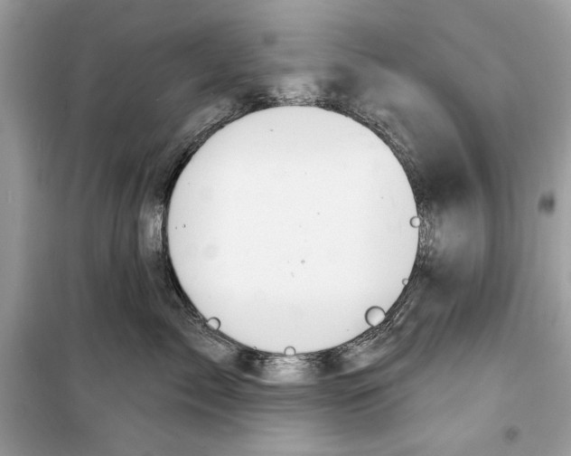 X0000098170717200805221515