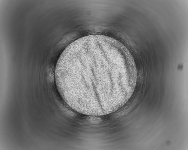 X0000098170719200805221515