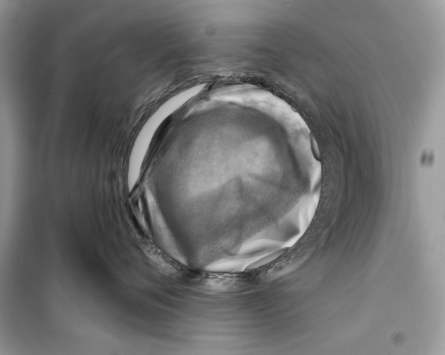 X0000098170720200805221515