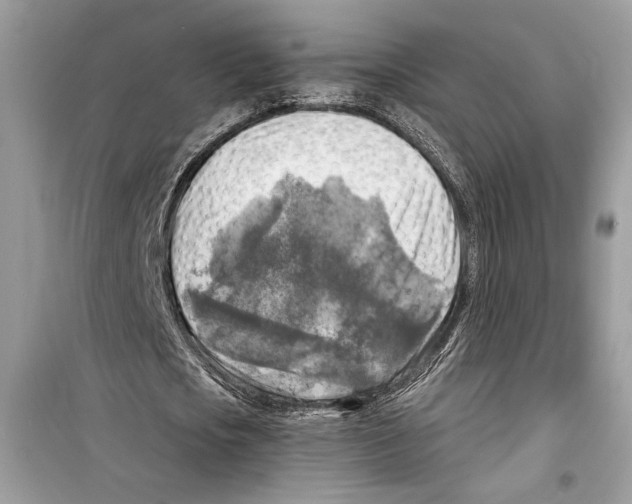 X0000098170721200805221514