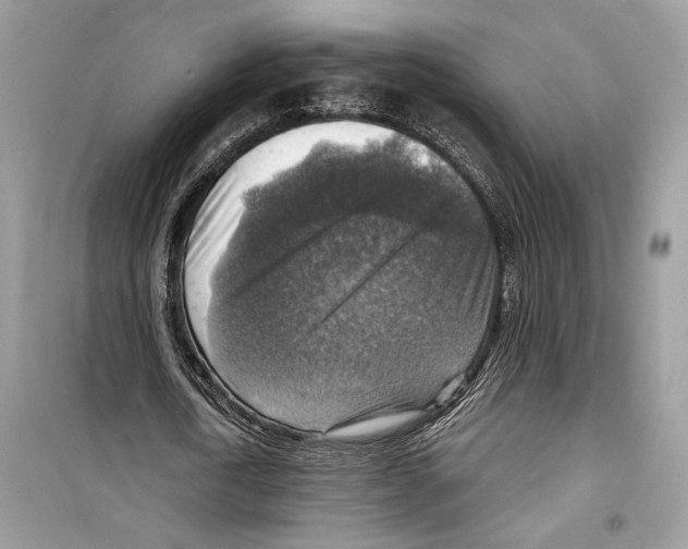 X0000098170722200805221514