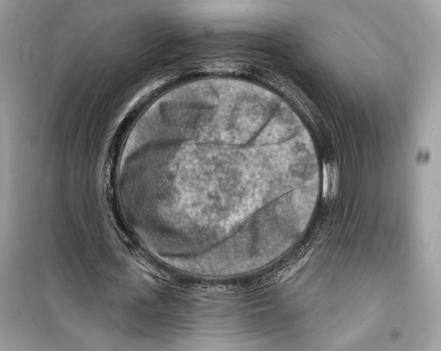 X0000098170723200805221514