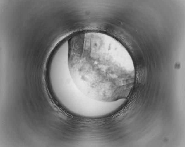 X0000098170724200805221514