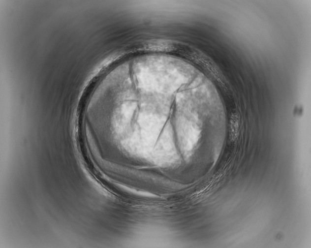 X0000098170726200805221514