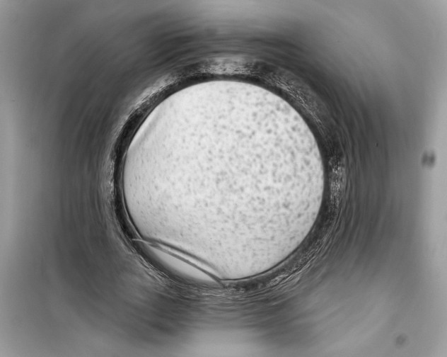 X0000098170727200805221514