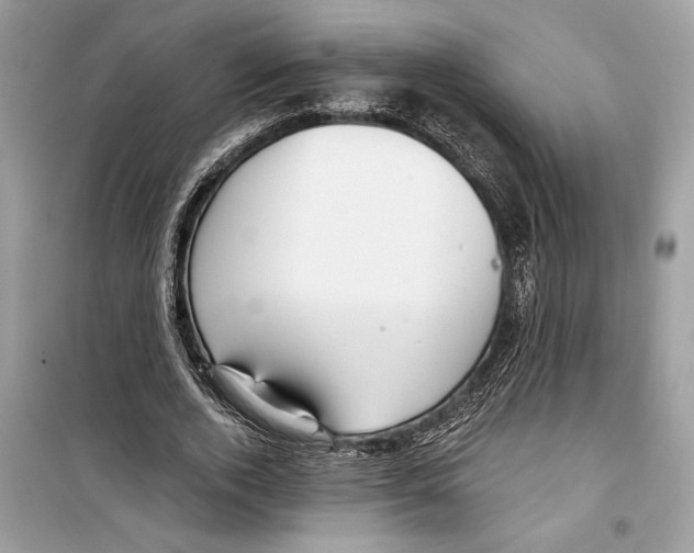 X0000098170728200805221514