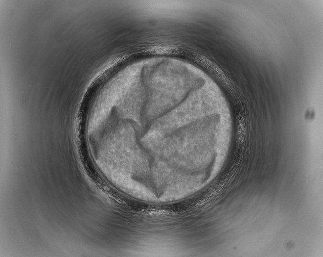 X0000098170730200805221514