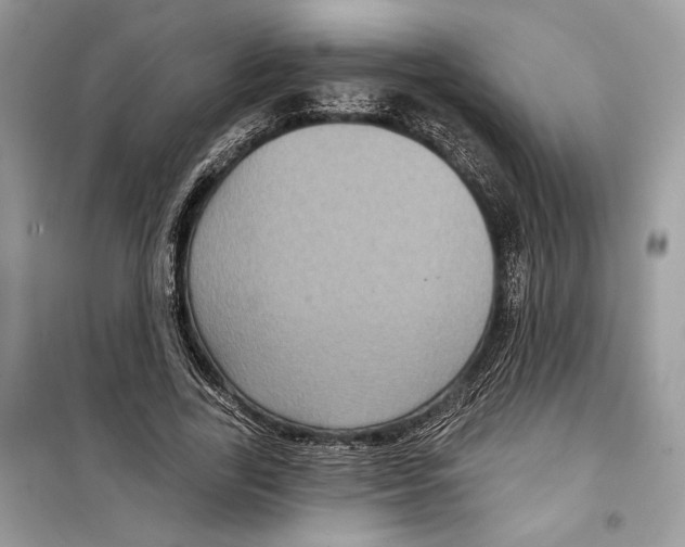 X0000098170731200805221514