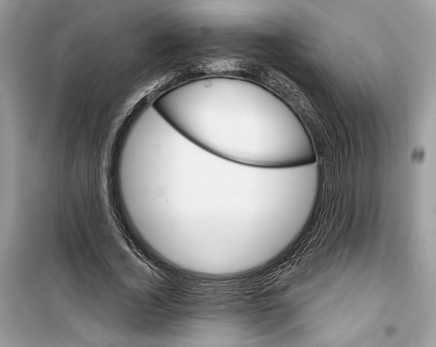 X0000098170732200805221514