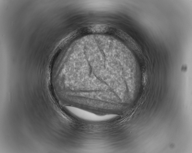 X0000098170733200805221514