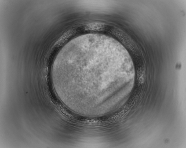 X0000098170735200805221514