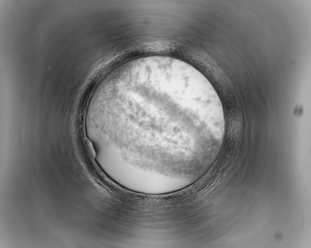 X0000098170736200805221515