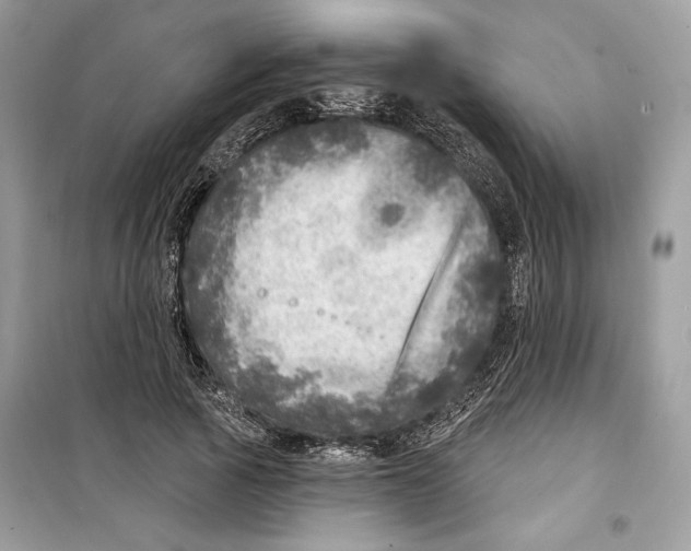 X0000098170737200805221515