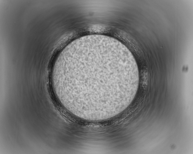 X0000098170738200805221515