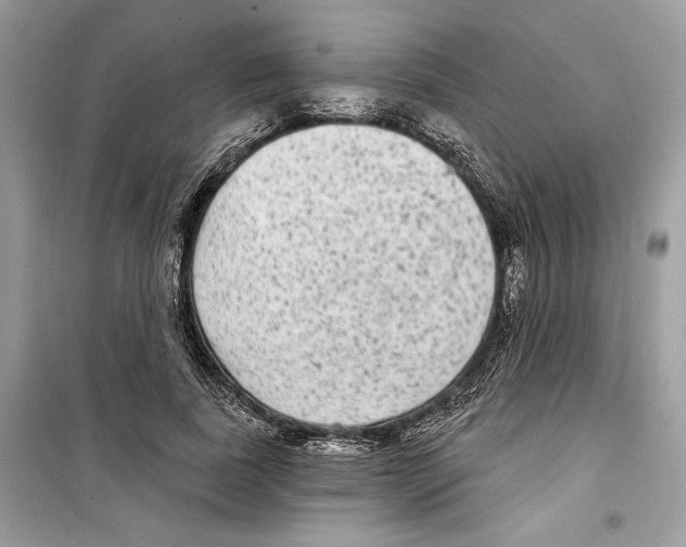 X0000098170739200805221515