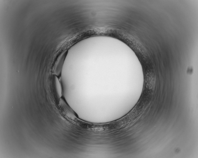 X0000098170740200805221515