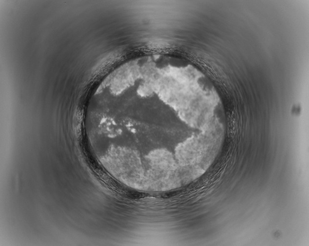 X0000098170742200805221515