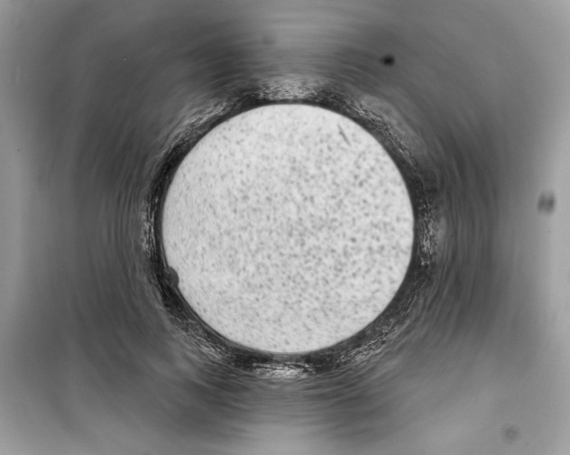 X0000098170743200805221515