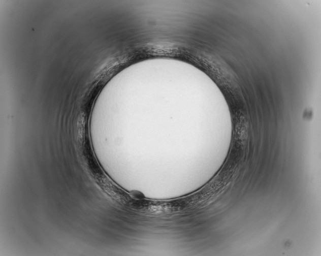 X0000098170744200805221515