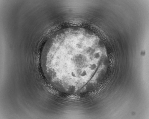 X0000098170745200805221515