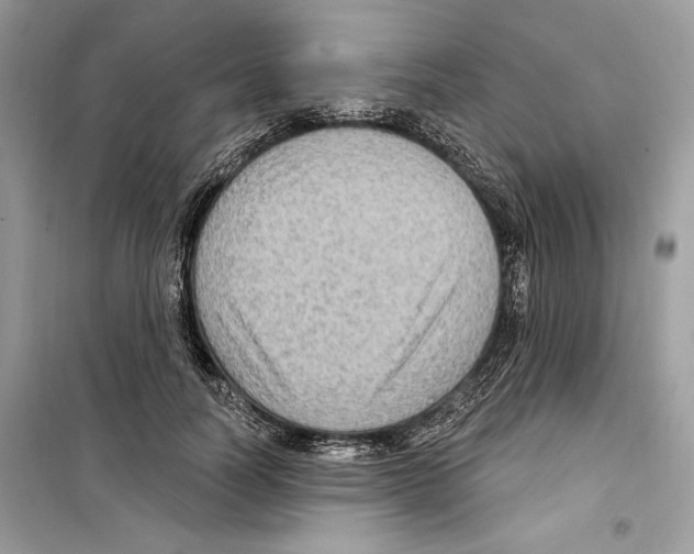 X0000098170746200805221515