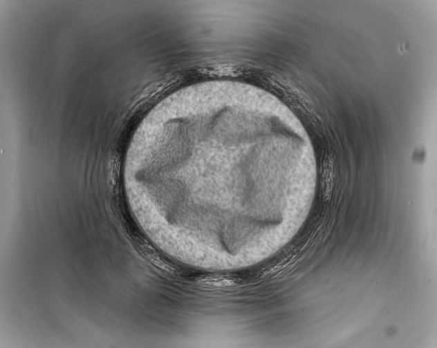 X0000098170747200805221515