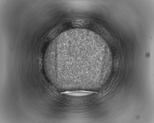 X0000098170749200805221515