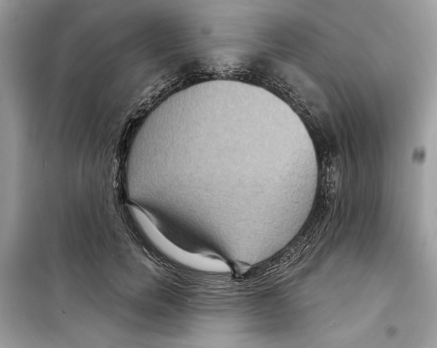 X0000098170750200805221515