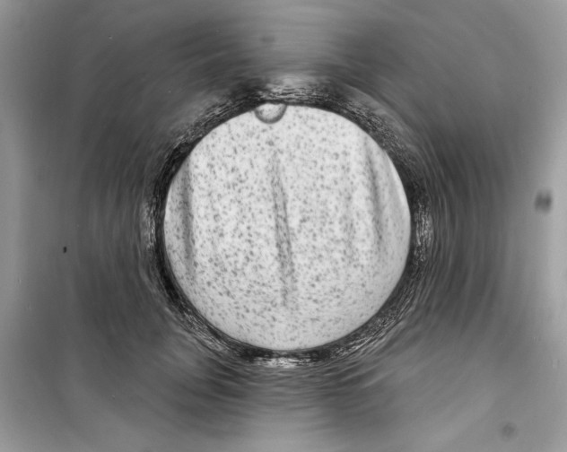 X0000098170751200805221515