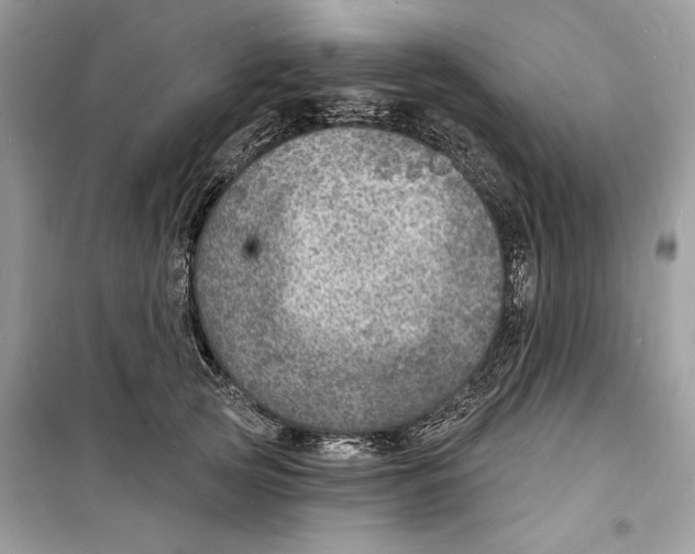 X0000098170753200805221515