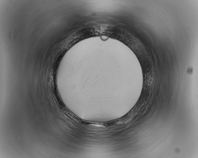 X0000098170754200805221515