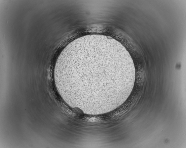 X0000098170755200805221515