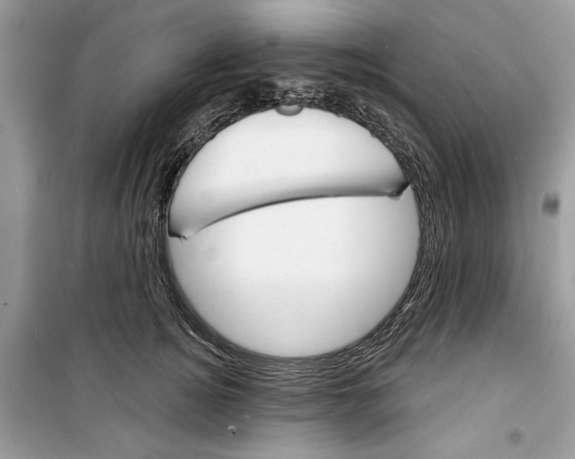 X0000098170756200805221515