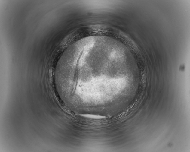 X0000098170757200805221515