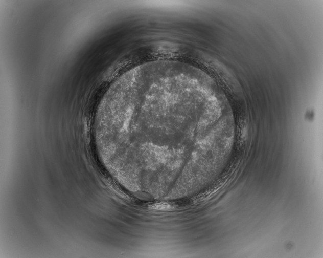 X0000098170759200805221515