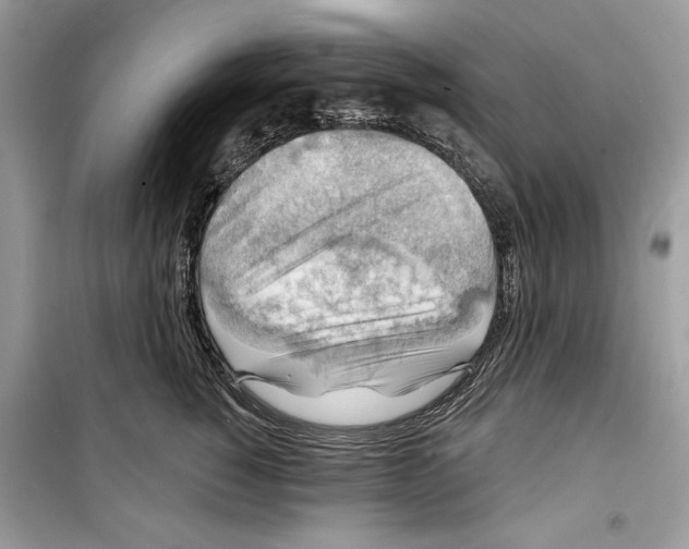 X0000098170760200805221515