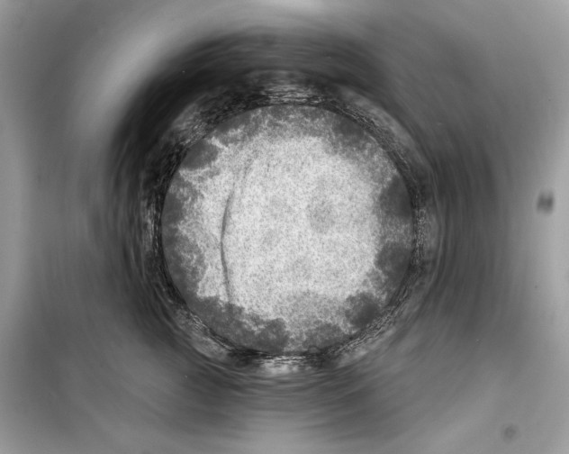 X0000098170761200805221515