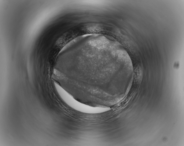 X0000098170762200805221515