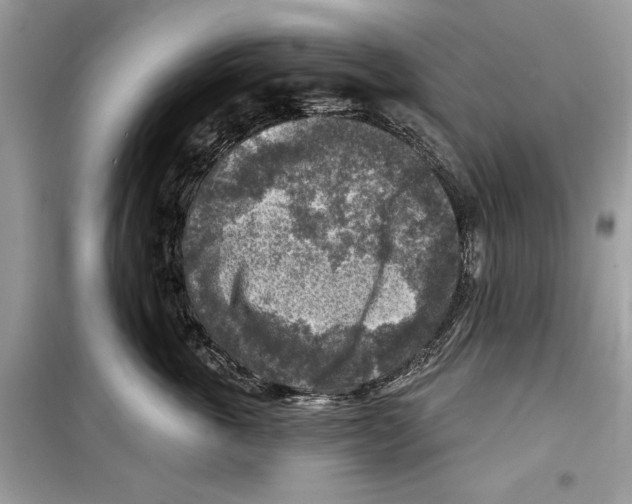 X0000098170763200805221515